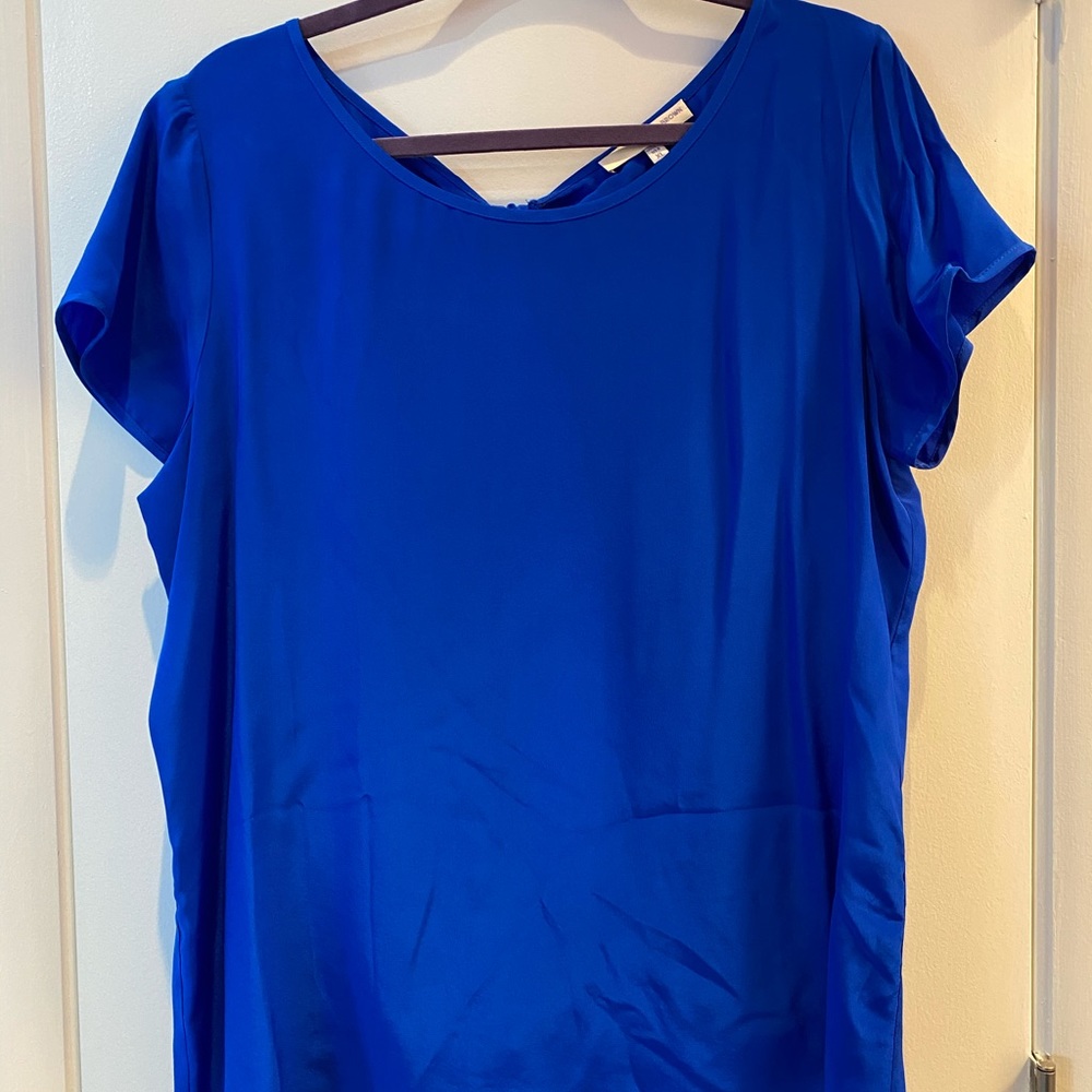 New w/o tags “Lavender Brown” blue silk blouse XL